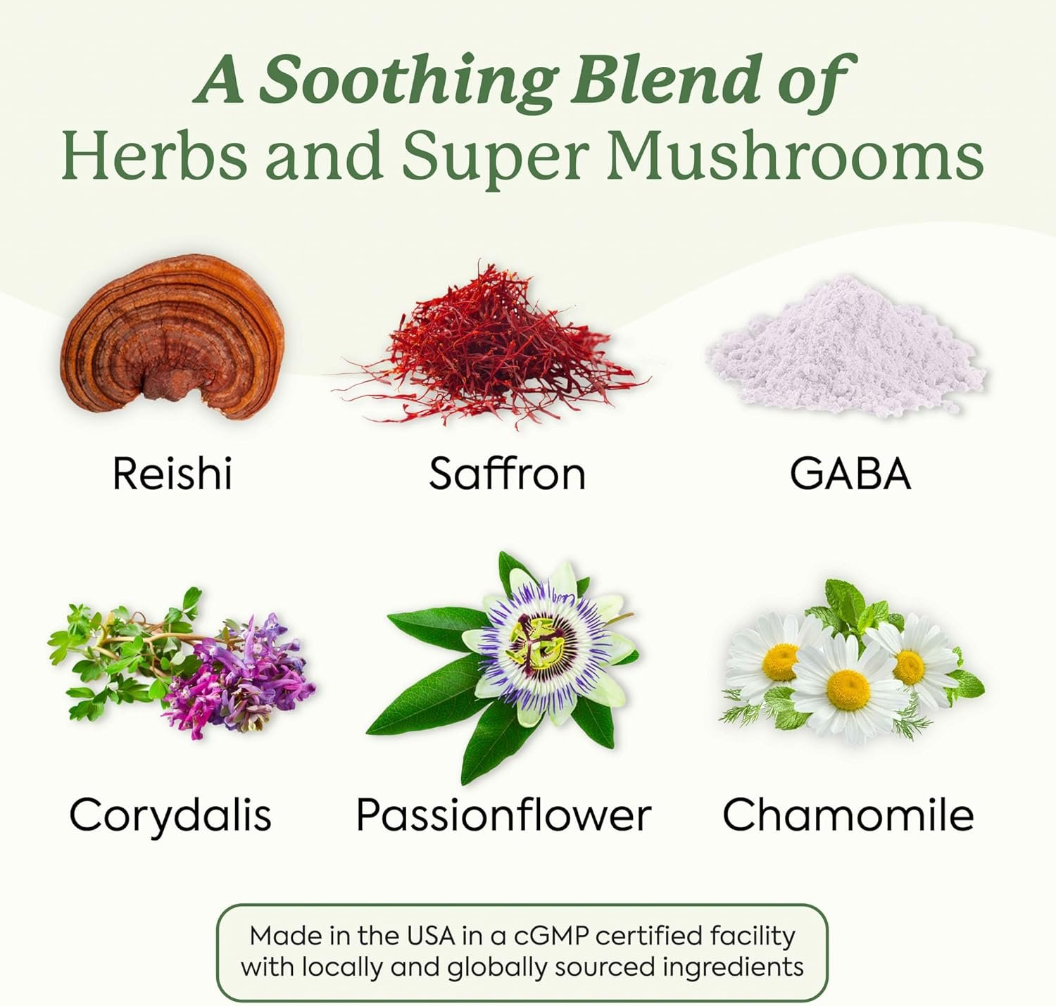 Plant People WonderSleep Mushroom Gummies Supplement for Sleep and Relaxation with Reishi Super - Image 6